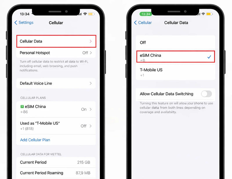 Choose the eSIM for cellular data on iPhone