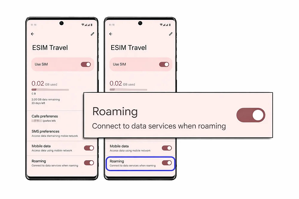 Enable Data Roaming for the eSIM